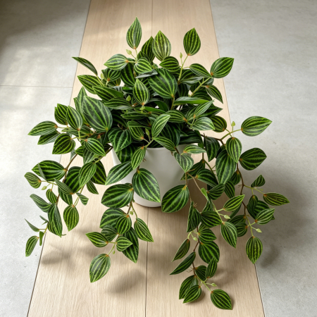17.7" Artificial Watermelon Peperomia in White Pot